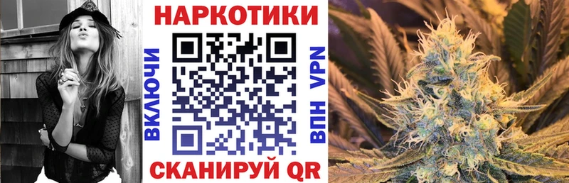 Магазины продажи наркотиков Нюрба Псилоцибиновые грибы  Канабис  A PVP  Гашиш  МЕФ  Кокаин 