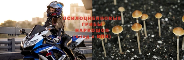 МДПВ Армянск