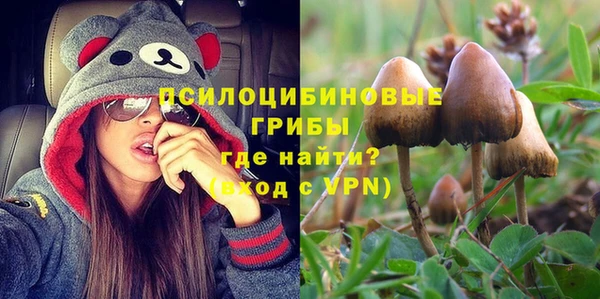 амф Балахна
